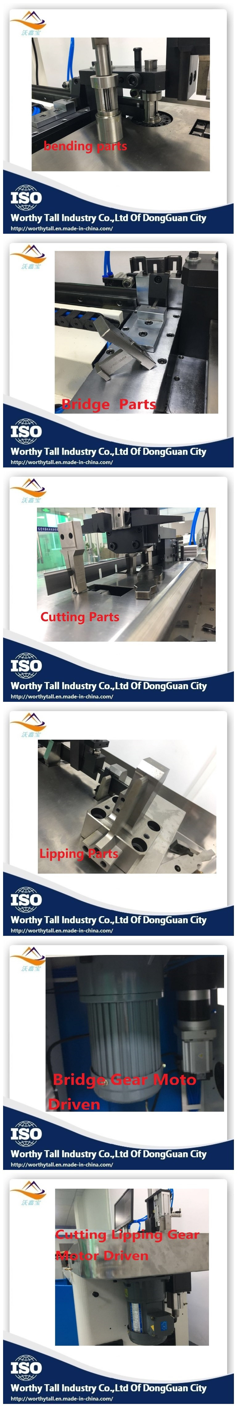 изображение (12)